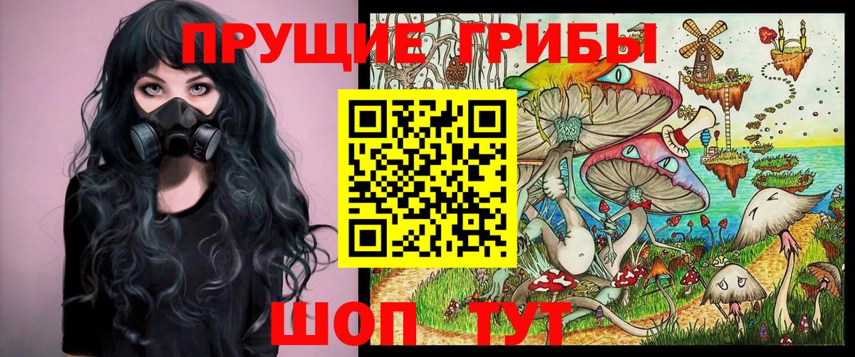 Псилоцибиновые грибы Psilocybe Бузулук