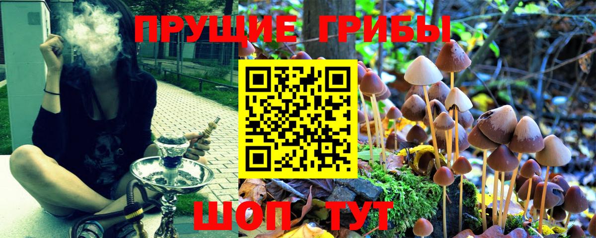 Галлюциногенные грибы Psilocybine cubensis  Псилоцибиновые грибы мухоморы  Вход с VPN  Бузулук 