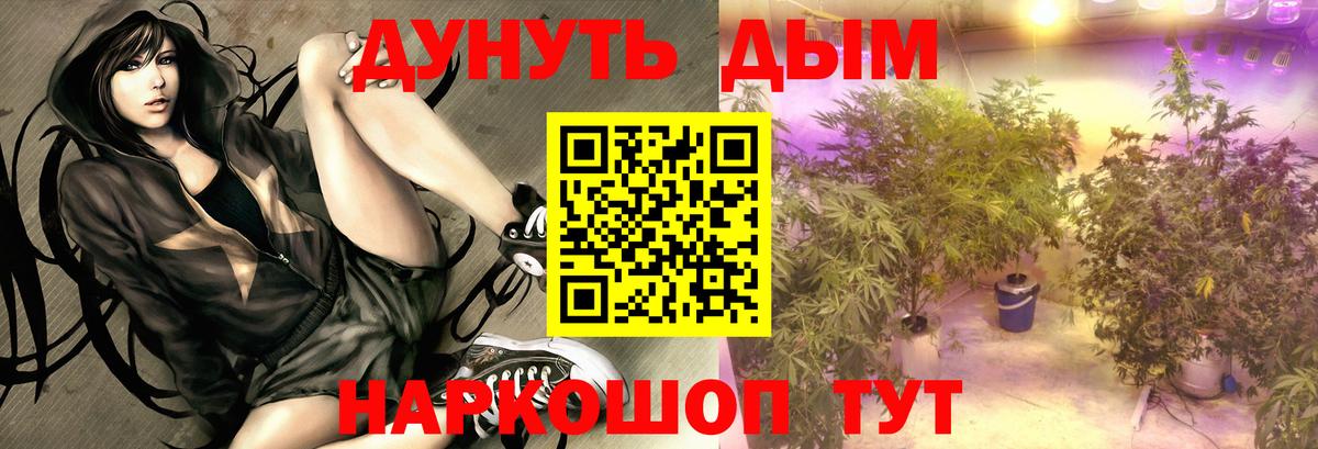 Бошки марихуана OG Kush  Бошки марихуана планчик  Конопля Amnesia  Вход с VPN  Бузулук  Шишки марихуана MAZAR 